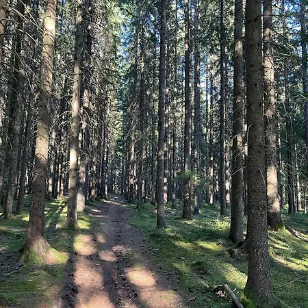 Vakantiehuis Black Forest *